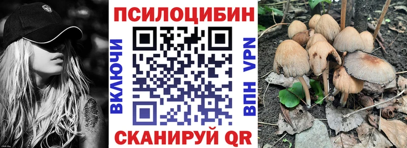 Псилоцибиновые грибы GOLDEN TEACHER  цены наркотик  Таганрог 