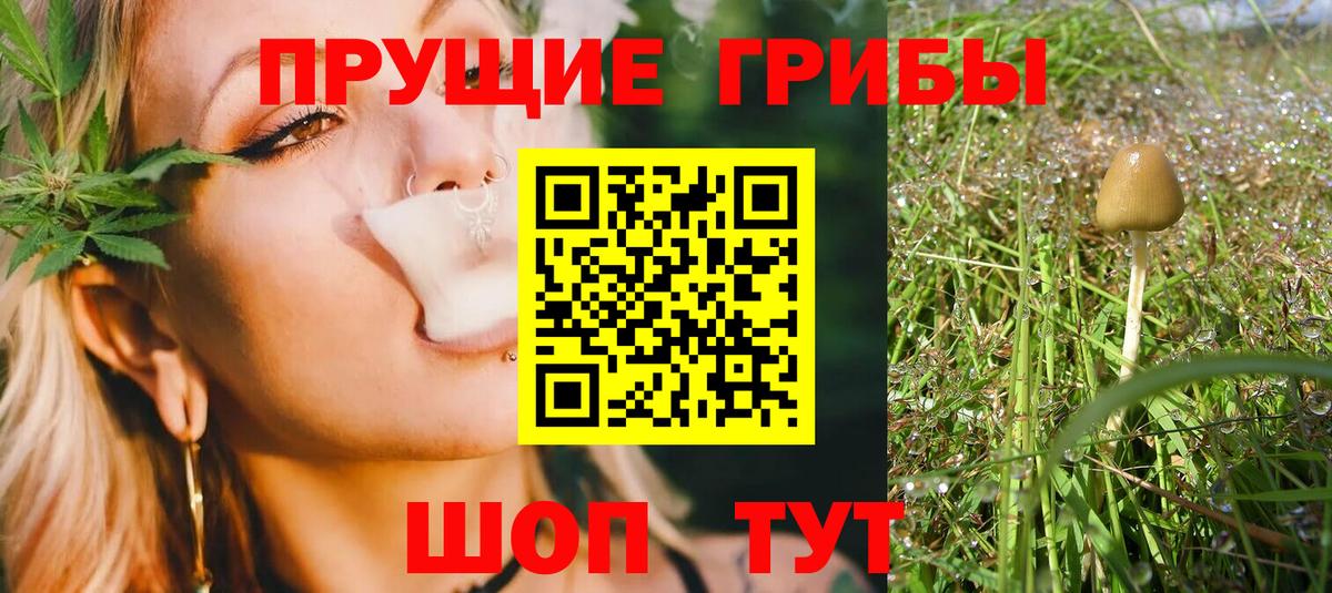 Таганрог  Псилоцибиновые грибы прущие грибы  закладки  Псилоцибиновые грибы Psilocybine cubensis  Вход с VPN 